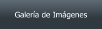 Galer�a de Im�genes