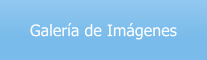 Galer�a de Im�genes